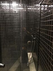Skysuites@Anson (D2), Apartment #377978511